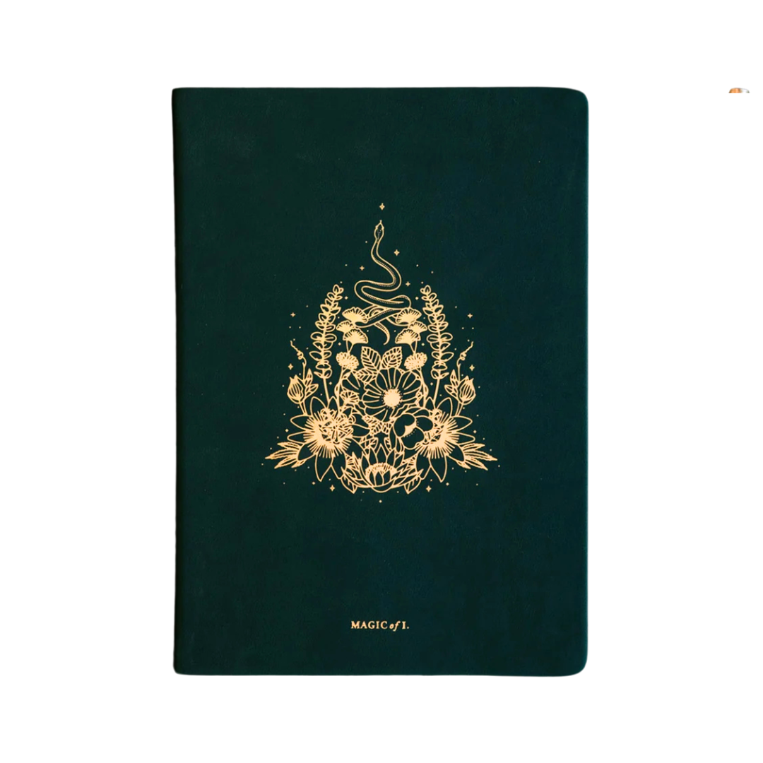 Magic of I. journals