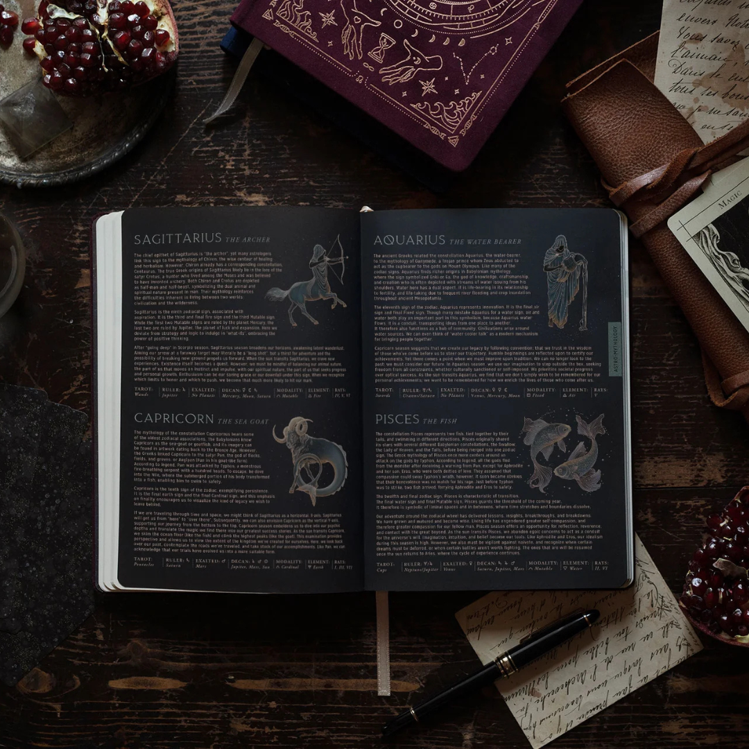 Magic of I. 2026 Astrological Planner (full size)