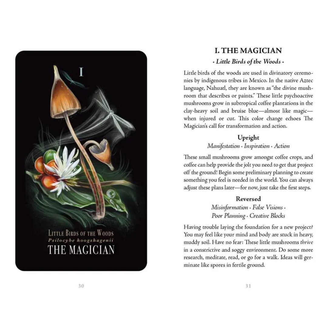 Midnight Magic: A Tarot Deck of Mushrooms
