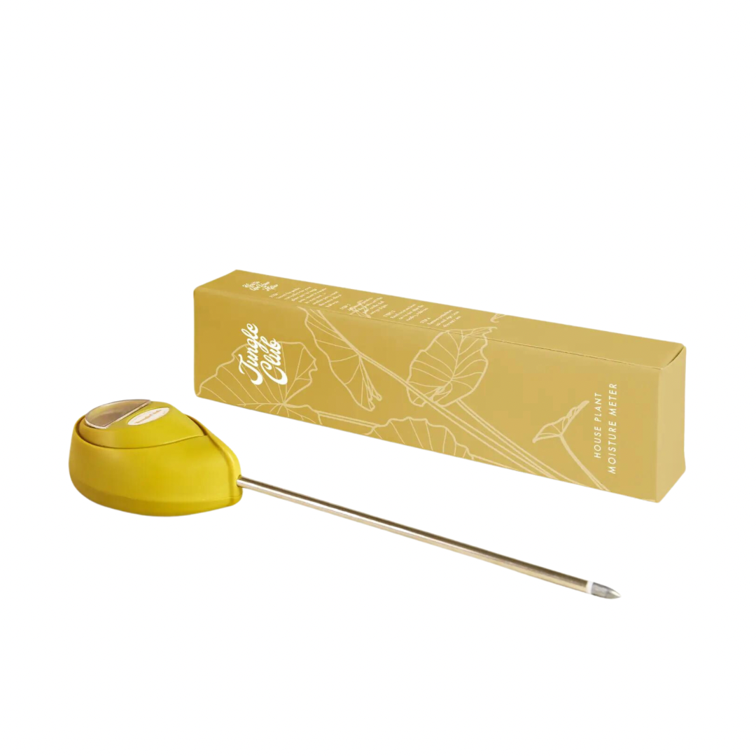 Moisture Meter