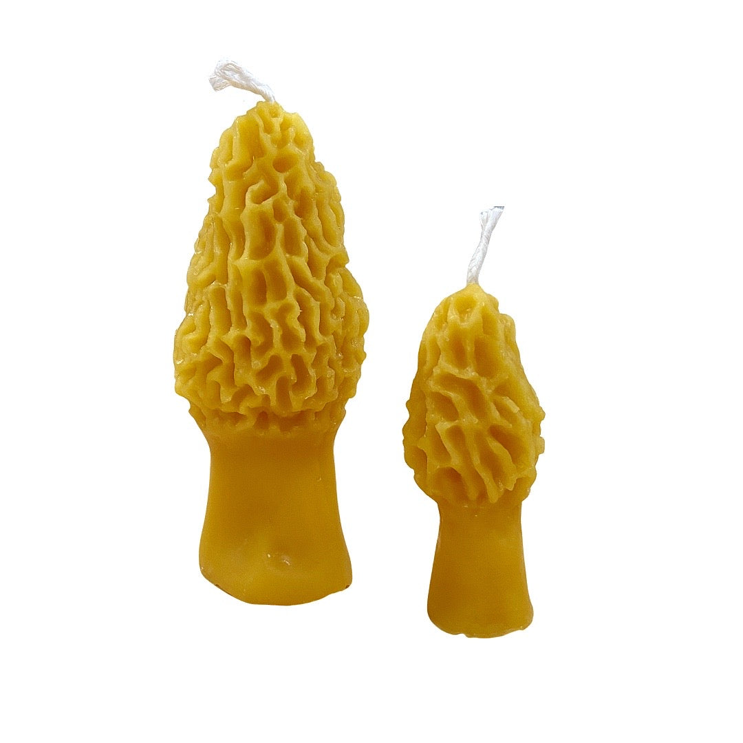 Morel Mushroom Beeswax Candles