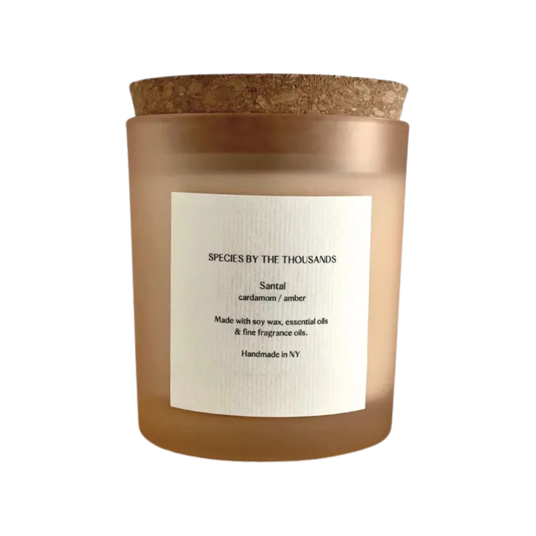 Santal, Cardamom & Amber candle