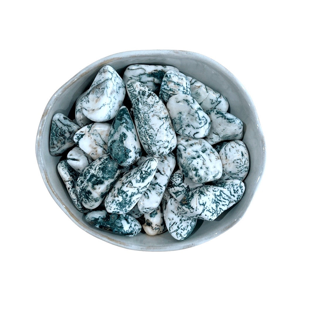 Tumbled Tree Agate