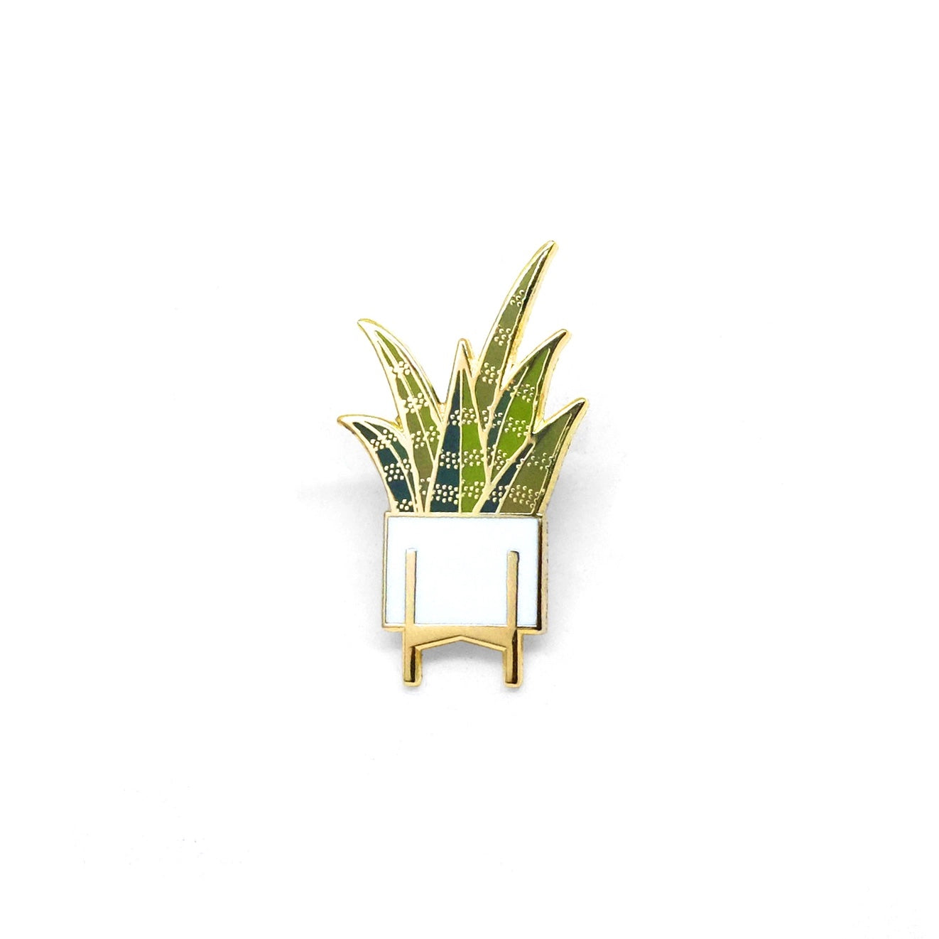 Sansevieria pin