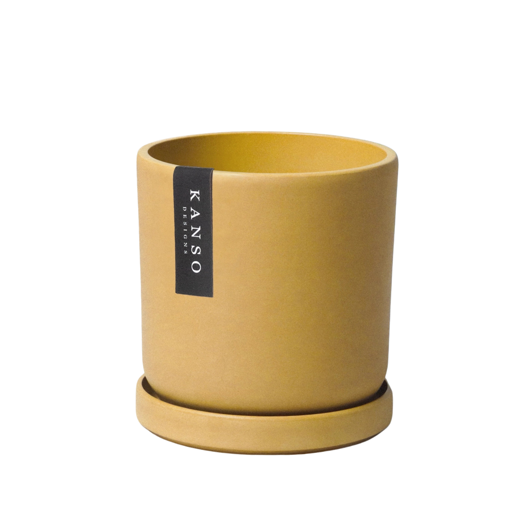 Kanso 4" Signature Planters