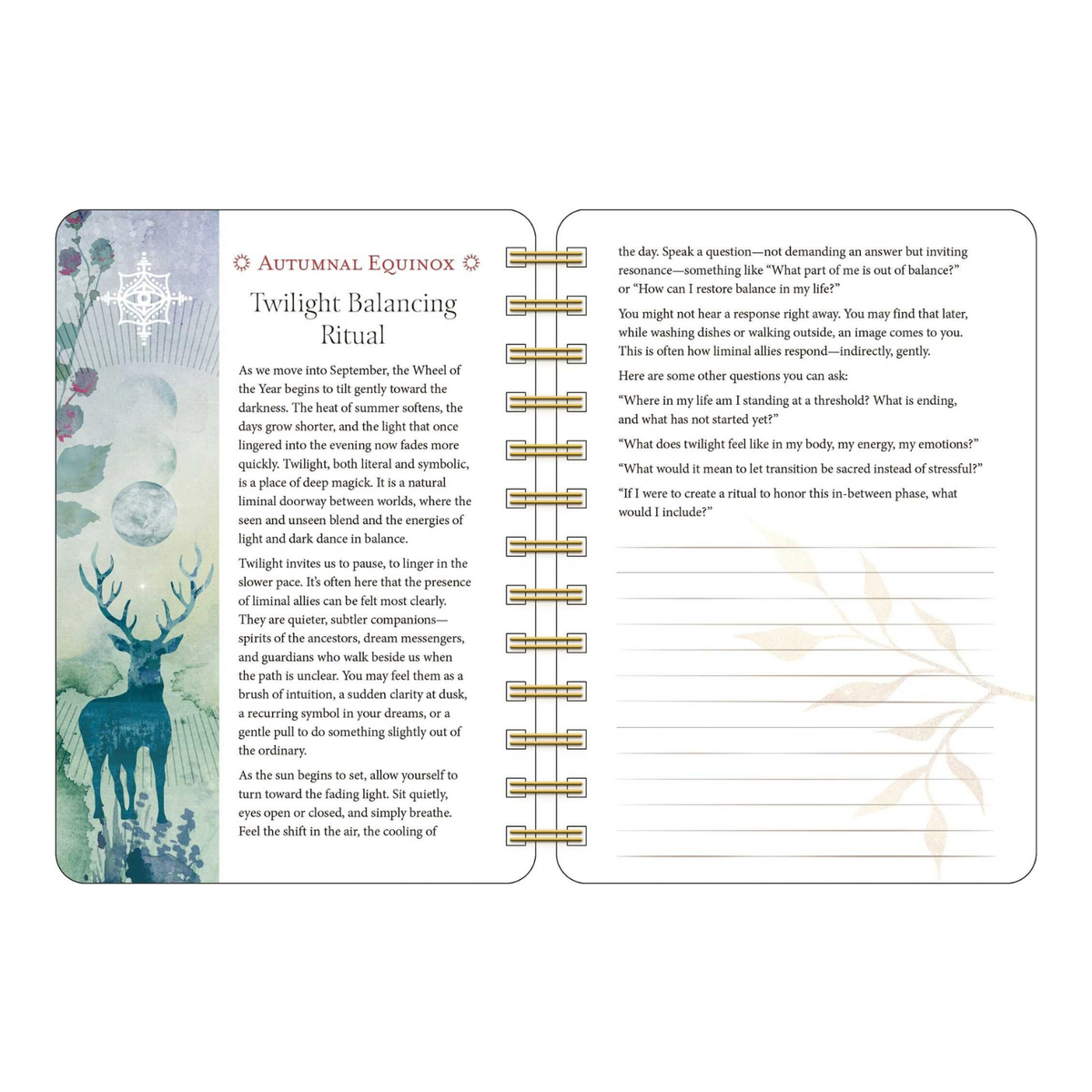 Year of the Witch 2027 planner