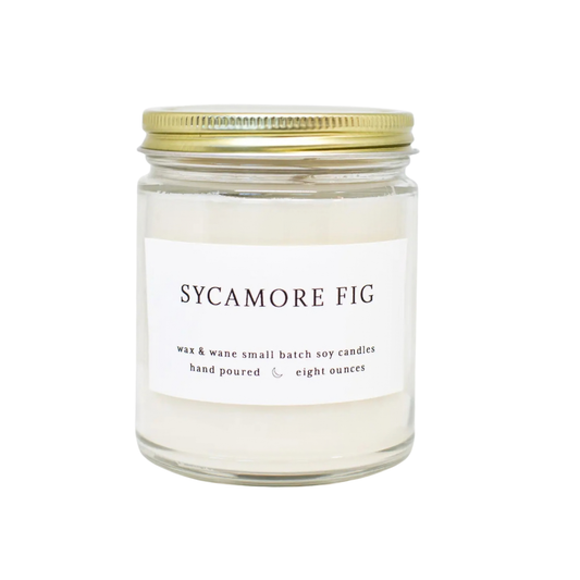 Sycamore Fig soy candle