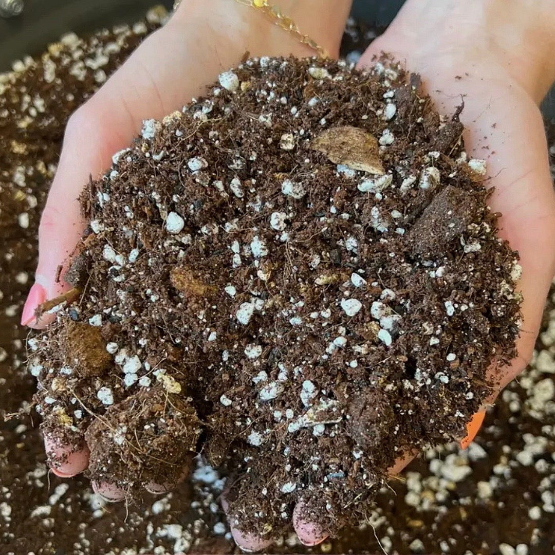 Chunky potting mix (for aroids)