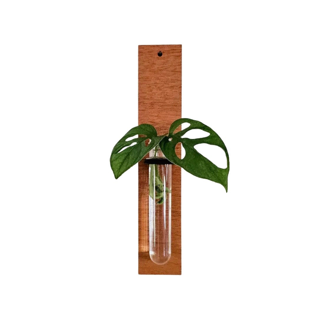 Wall Hanging Propagation Station