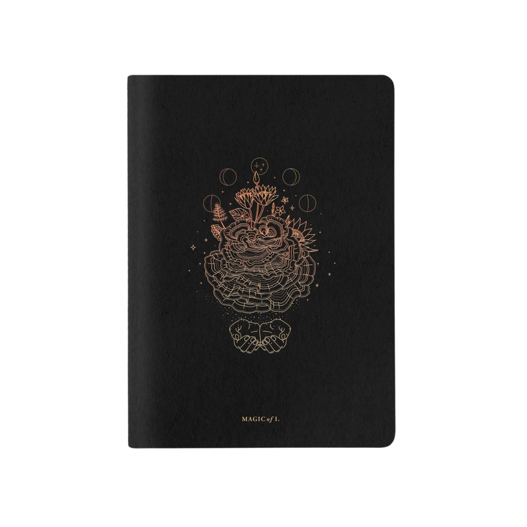 Magic of I. notebooks