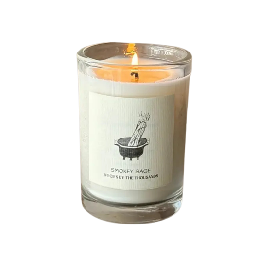 Smokey Sage candle