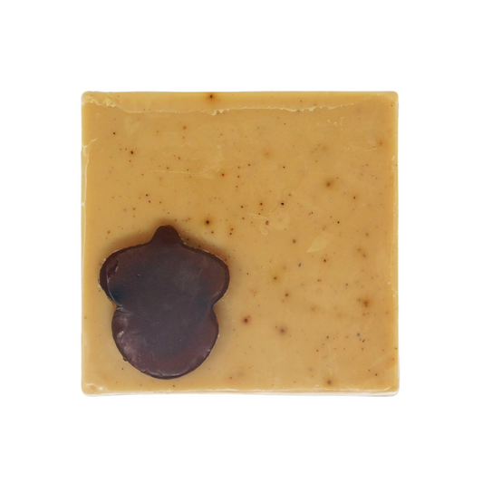 Autumn Cafeomancy Soap