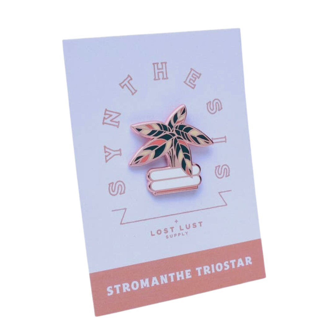 Stromanthe Triostar pin